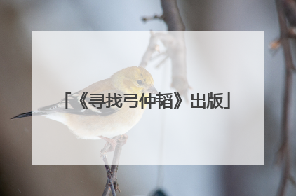 《寻找弓仲韬》出版