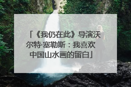 《我仍在此》导演沃尔特·塞勒斯：我喜欢中国山水画的留白