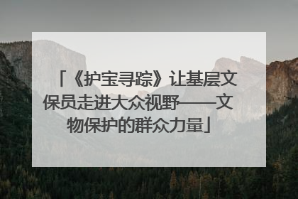 《护宝寻踪》让基层文保员走进大众视野——文物保护的群众力量