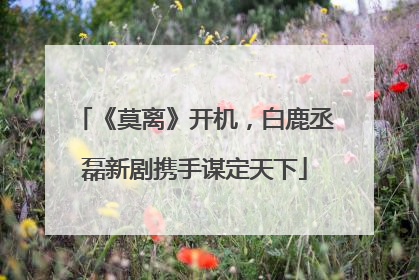 《莫离》开机，白鹿丞磊新剧携手谋定天下