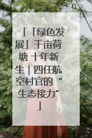 「绿色发展」千亩荷塘 十年新生｜四任航空村官的“生态接力”
