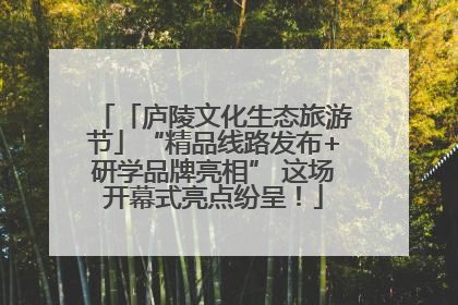 「庐陵文化生态旅游节」“精品线路发布+研学品牌亮相” 这场开幕式亮点纷呈！