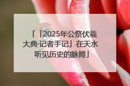 「2025年公祭伏羲大典·记者手记」在天水 听见历史的脉搏