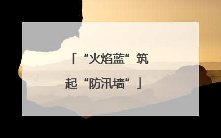 “火焰蓝”筑起“防汛墙”