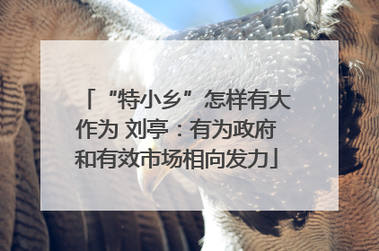 “特小乡”怎样有大作为 刘亭：有为政府和有效市场相向发力