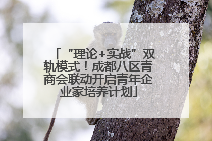 “理论+实战”双轨模式！成都八区青商会联动开启青年企业家培养计划