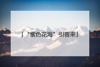 “紫色花海”引客来