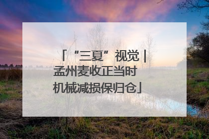 “三夏”视觉｜孟州麦收正当时 机械减损保归仓