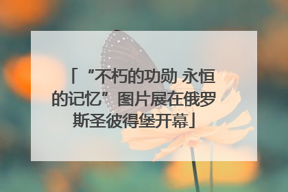 “不朽的功勋 永恒的记忆”图片展在俄罗斯圣彼得堡开幕