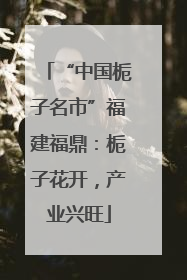 “中国栀子名市”福建福鼎：栀子花开，产业兴旺