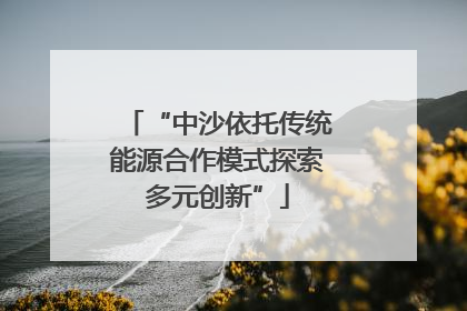 “中沙依托传统能源合作模式探索多元创新”