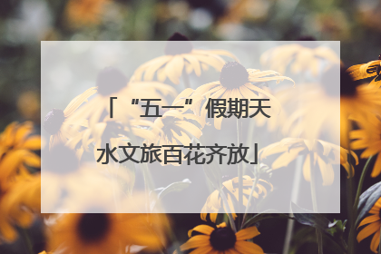 “五一”假期天水文旅百花齐放
