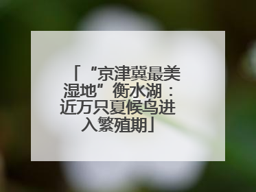 “京津冀最美湿地”衡水湖：近万只夏候鸟进入繁殖期