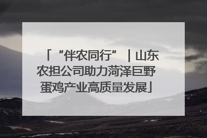 “伴农同行”｜山东农担公司助力菏泽巨野蛋鸡产业高质量发展