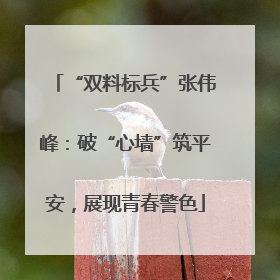 “双料标兵”张伟峰：破“心墙”筑平安，展现青春警色
