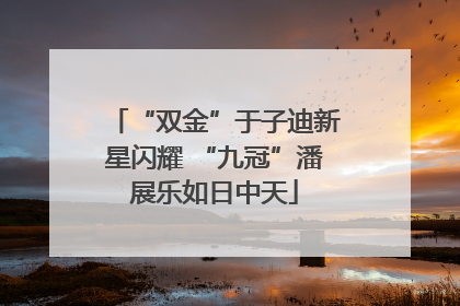 “双金”于子迪新星闪耀 “九冠”潘展乐如日中天