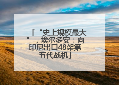 “史上规模最大”，埃尔多安：向印尼出口48架第五代战机