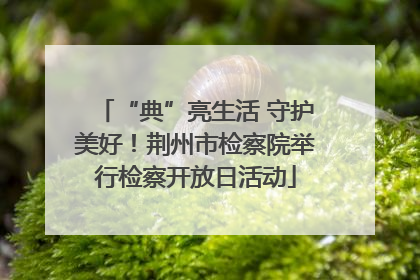 “典”亮生活 守护美好！荆州市检察院举行检察开放日活动