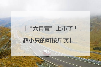 “六月黄”上市了！超小只的可按斤买