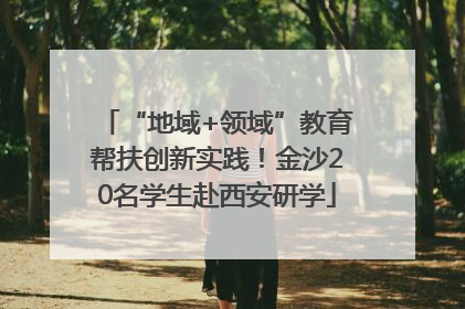 “地域+领域”教育帮扶创新实践！金沙20名学生赴西安研学