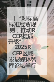 “对标高标准经贸规则，推动RCEP提质升级”——2025RCEP区域发展媒体智库论坛举行专题对话