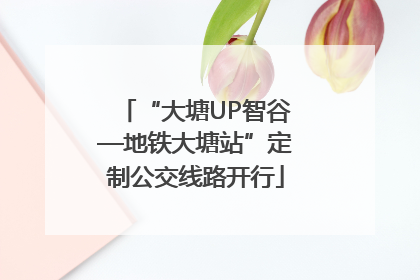 “大塘UP智谷—地铁大塘站”定制公交线路开行