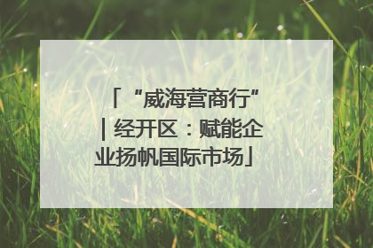 “威海营商行”｜经开区：赋能企业扬帆国际市场