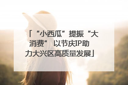 “小西瓜”提振“大消费” 以节庆IP助力大兴区高质量发展