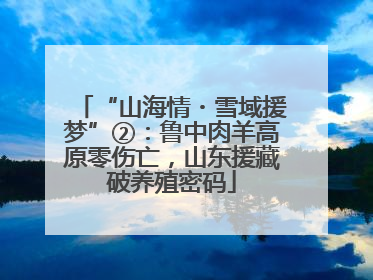 “山海情・雪域援梦”②：鲁中肉羊高原零伤亡，山东援藏破养殖密码