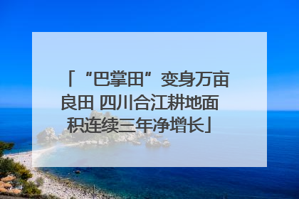 “巴掌田”变身万亩良田 四川合江耕地面积连续三年净增长