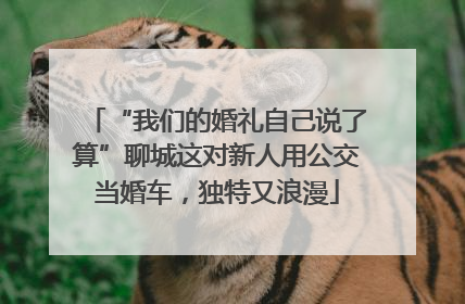 “我们的婚礼自己说了算”聊城这对新人用公交当婚车，独特又浪漫