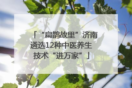 “扁鹊故里”济南遴选12种中医养生技术“进万家”