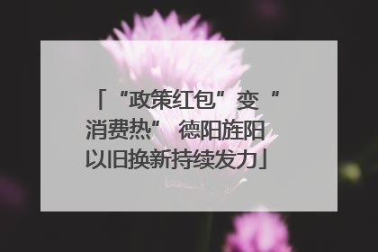 “政策红包”变“消费热” 德阳旌阳以旧换新持续发力