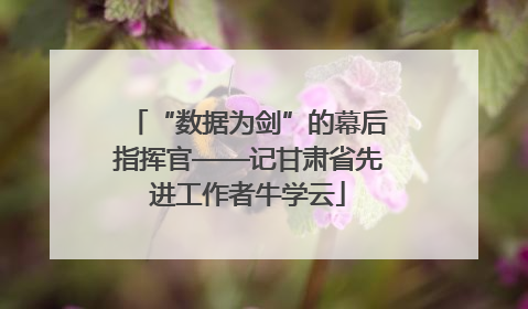 “数据为剑”的幕后指挥官——记甘肃省先进工作者牛学云