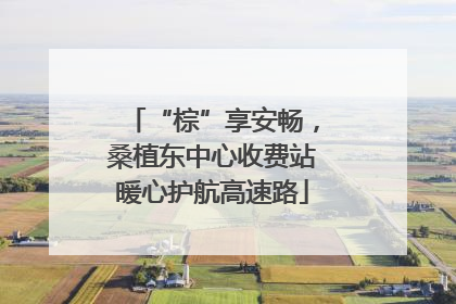“棕”享安畅，桑植东中心收费站暖心护航高速路