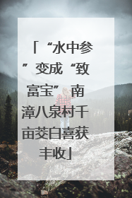 “水中参”变成“致富宝” 南漳八泉村千亩茭白喜获丰收