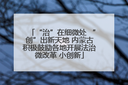 “治”在细微处 “创”出新天地 内蒙古积极鼓励各地开展法治微改革 小创新
