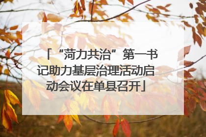 “菏力共治”第一书记助力基层治理活动启动会议在单县召开