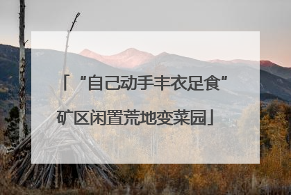 “自己动手丰衣足食”矿区闲置荒地变菜园