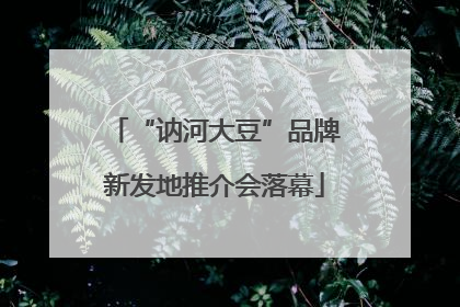 “讷河大豆”品牌新发地推介会落幕