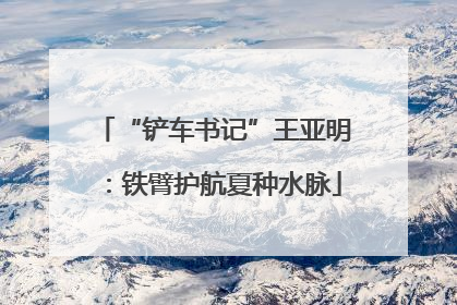 “铲车书记”王亚明：铁臂护航夏种水脉