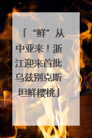 “鲜”从中亚来！浙江迎来首批乌兹别克斯坦鲜樱桃
