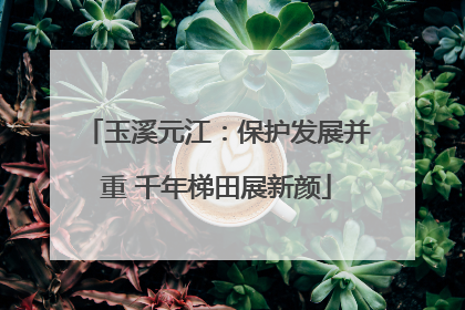 玉溪元江：保护发展并重 千年梯田展新颜
