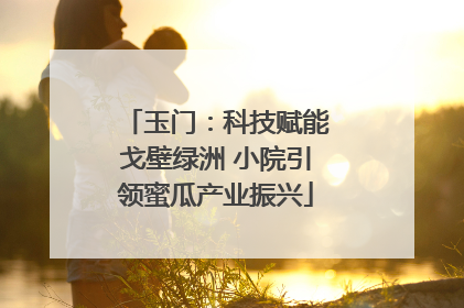 玉门：科技赋能戈壁绿洲 小院引领蜜瓜产业振兴