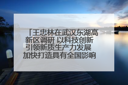 王忠林在武汉东湖高新区调研 以科技创新引领新质生产力发展 加快打造具有全国影响力的科技创新高地