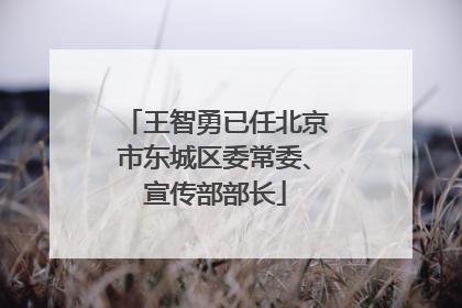 王智勇已任北京市东城区委常委、宣传部部长