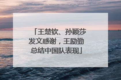 王楚钦、孙颖莎发文感谢，王励勤总结中国队表现