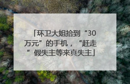环卫大姐拾到“30万元”的手机，“赶走”假失主等来真失主