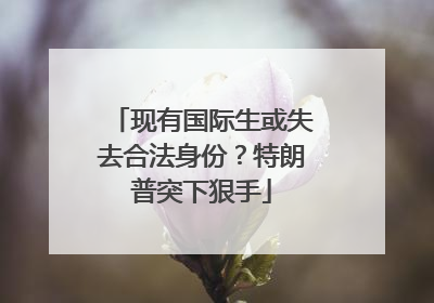 现有国际生或失去合法身份？特朗普突下狠手