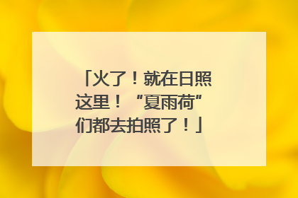 火了！就在日照这里！“夏雨荷”们都去拍照了！
